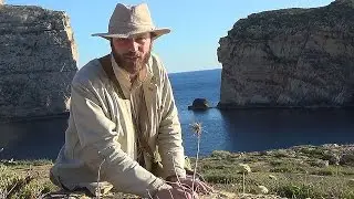 Fungus rock - the great placebo treasure (and the Mujahideen)