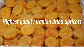 dried apricot
