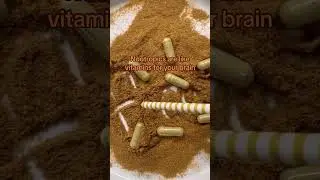 What Are Nootropics and How They Help Support Brain Fog
