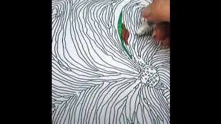 Who Wants To Color ...............................Hand Drawn Adult Coloring Books Made By Me For You