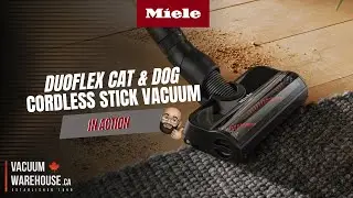 Miele Duoflex HX1 Cat & Dog Stick Vacuum - In Action