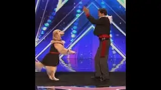 Jos&eacute; and his surprising dancing dog Carrie AGT 2016 BEST TALENTS EVER