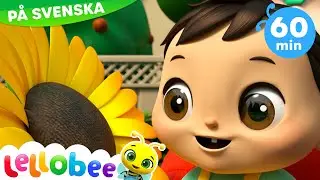Farbror Sol - Fröken Regn | Lellobee Svenska | Barnsånger | Inlärningsvideor för barn