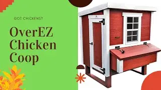 OverEZ CHICKEN COOP REVIEW 🐔  #chickencoop #chickens #diy