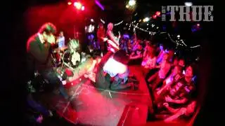 TRANSILVANIAN - Punks not dead