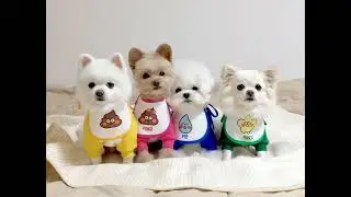 51eb599285b2480aa4425bb94e7c8310