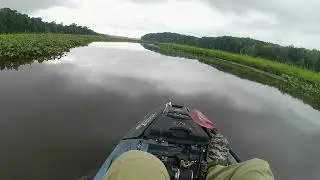 Crows Nest July 12 2024