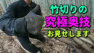 【農業系】チェーンソーを使って竹を切る時の小技とか【竹林系】