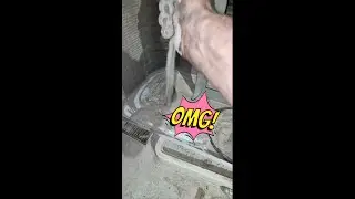 The 