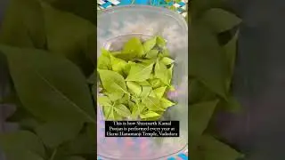 This is how Shastrarth Kamal Poojan is performed every year at Harni Hanumanji Temples, Vadodara.