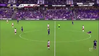 Rodrigo Schlegel - Skills and Goals
