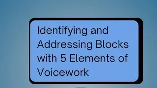 Identifying and Addressing Blocks with 5 Elements of Voicework