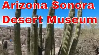 Arizona Sonora Desert Museum -This Place has it ALL!