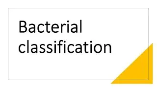 Bacterial classification