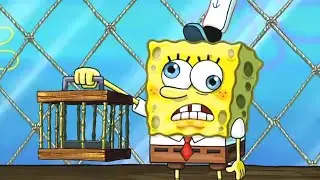 SpongeBob - Why Is It Trapped In A Cage?