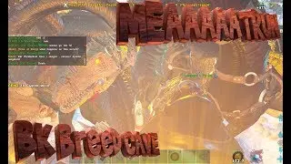 ARK Official Server. MEAT RUN! BK Breed Cave!