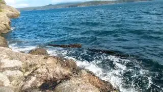 Testing a New Marine Acoustic Tag System: Day 1 Surface Conditions