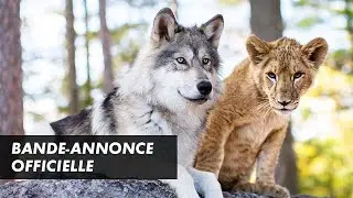 LE LOUP ET LE LION &ndash; Bande-annonce officielle (2021)