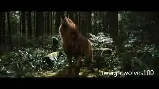 Twilight ( Linkin Park new divide )