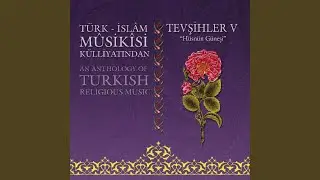 Tanbur Taksimi