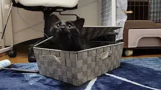 お気に入りBOX