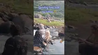 Water puppy = Happy puppy🐶 #water#waterfall#moments#summer#subscribe