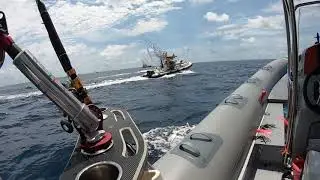 Big Fish Tournament 2019