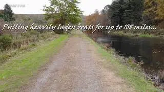 Explore Sullivan County's Delaware & Hudson Canal Linear Park