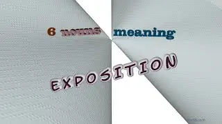exposition - 7 nouns meaning exposition (sentence examples)