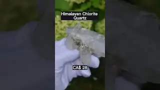 28 sax Himalayan Chlorite Quartz