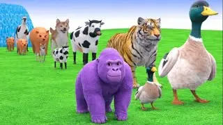 Long Slide Game With Cow Elephant Gorilla Hippopotamus Tiger - 3d Animal Game - Funny 3d Animals