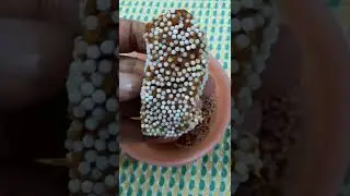 Baal Mithai | Indian Sweet #balmithai #tasteandtravelwithchinu #ytshorts #indiansweets