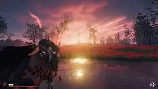TOSTEROS SAMURAI
