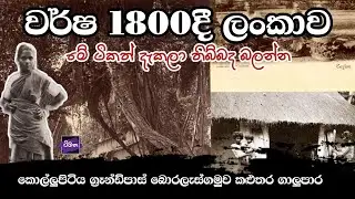 වර්ෂ 1800 මීට අවුරුදු 200කට කලින් ලංකාව | Ceylon Old Sri Lanka In 1800 #ceylon #srilankaold #wimana