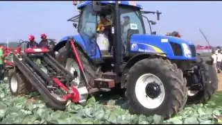 Koolrooier - Cabbage harvester