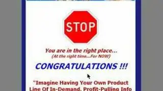Make Money Online With PLR