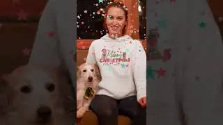 Merry Christmas Dog Sweatshirt🐾Dog Christmas Sweater🐾Dog Mom Sweatshirt🐾Link on Description👇 #shorts