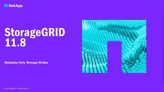Metadata-only storage nodes | StorageGRID 11.8
