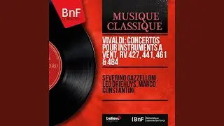 Oboe Concerto in A Minor, RV 461: I. Allegro non molto