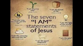 All 7 