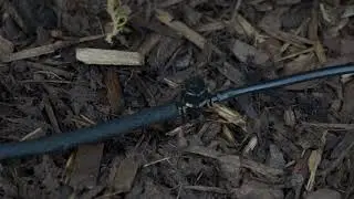 Using a 4mm Micro Barbed Valve in an Irrigation System