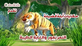 قصة نمور والغابة الطيبة | #cairo_kids #اكسبلور #قصص #حكايات #لايك #دراما_أطفال #قصة 
