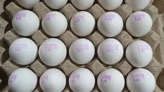 22 May 2024 .03337927030