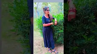 shayraana🧿❤