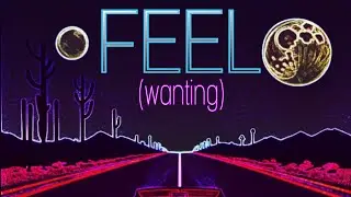 FEEL (wanting) lyric video