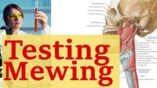 An Experiment for Those who Believe in Mewing