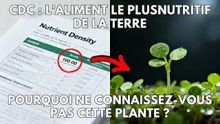 La plante la plus nutritive au monde, confirm&eacute;e par le CDC &mdash; Pourquoi est-elle inconnue