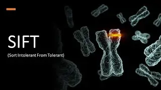 SIFT (Sort Intolerant From Tolerant)