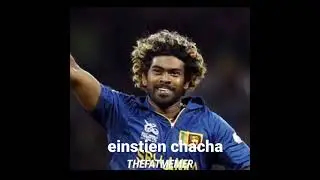 famous Einstein chacha