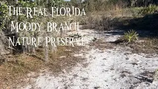 🌿 The Weekday Warrior &mdash; Moody Branch Nature Preserve | Duette, Florida Walk 🌿